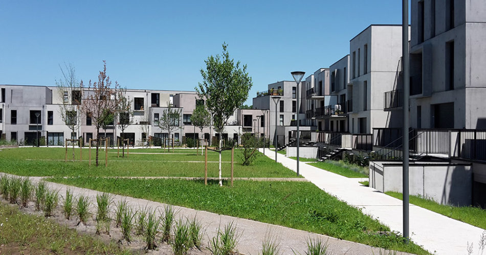 Programme immobilier d'appartements à Lille