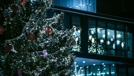 pierres-et-territoires-noel